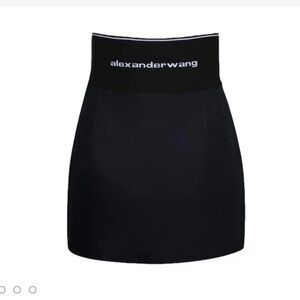 Alexander Wang skirt